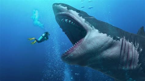 what is the meaning of megalodon|The Real Science Behind the Megalodon .